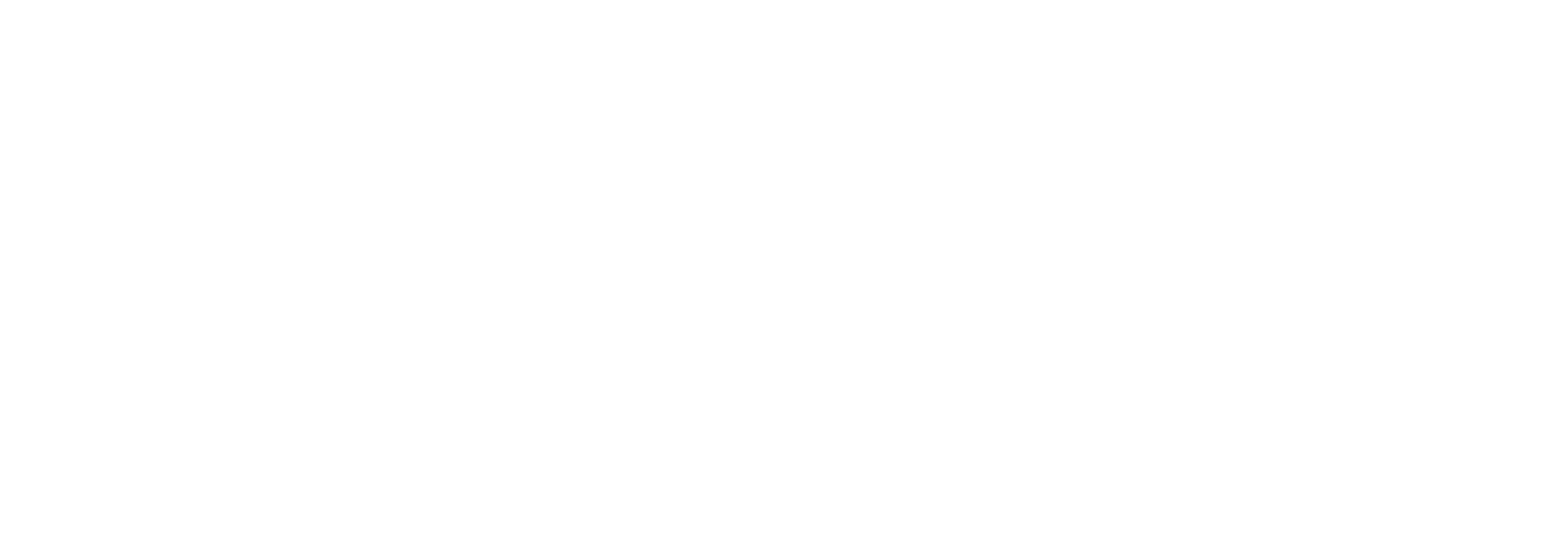 Logo van der Lande Concepts groot wit